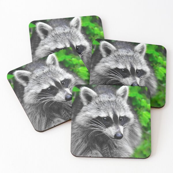 Item preview, The pretty raccoon designed and sold by Glineur.