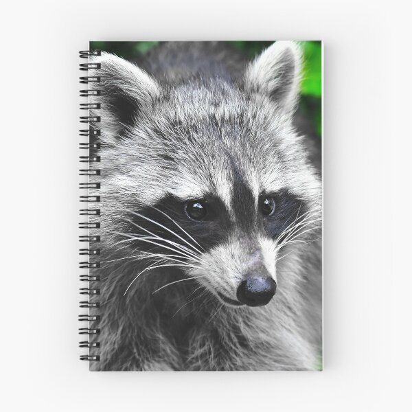 Item preview, The pretty raccoon designed and sold by Glineur.