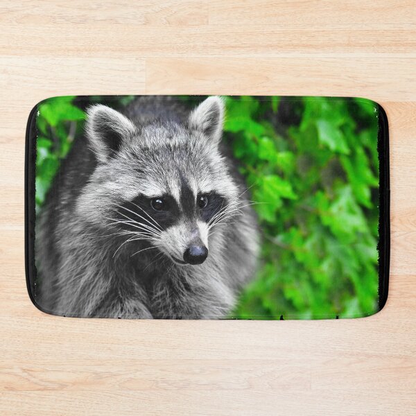 Item preview, The pretty raccoon designed and sold by Glineur.