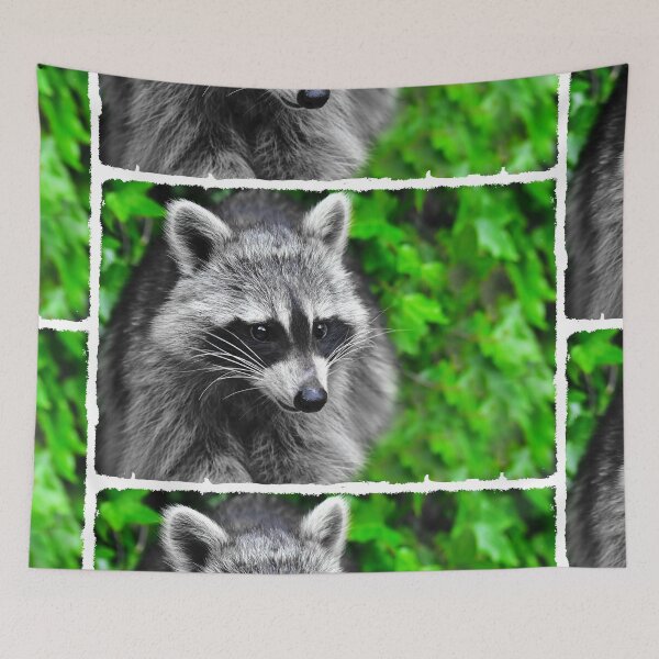 Item preview, The pretty raccoon designed and sold by Glineur.