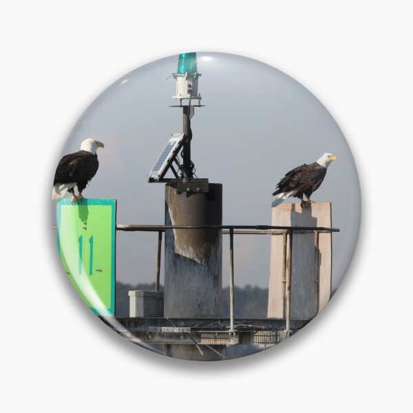 Item preview, Bald Eagles designed and sold by Timothy Gass.