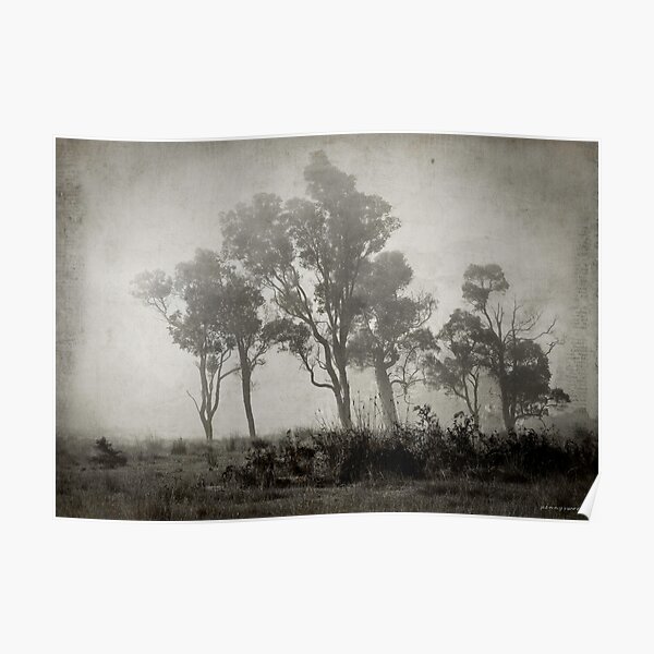 Misty Field Poster