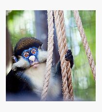 Chibi Glare Photographic Print