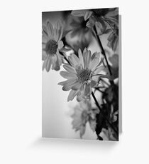 Flowers - Still Life Greeting Card