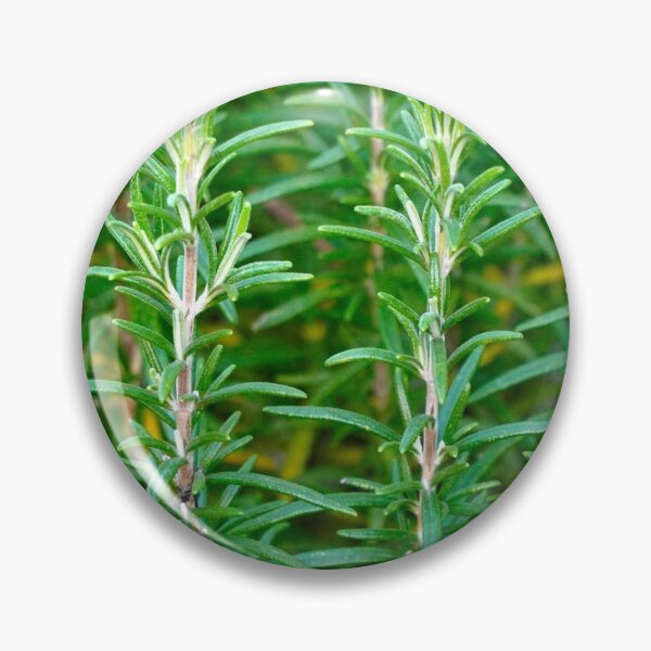 Item preview, Rosemary designed and sold by MUZA9.