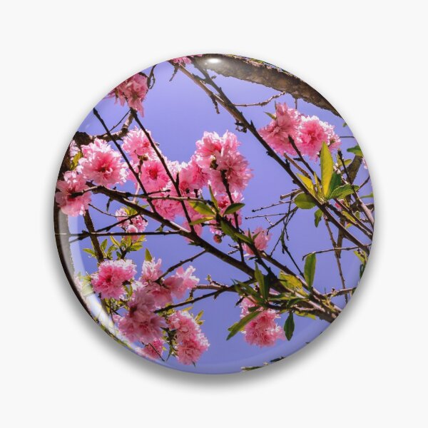 Item preview, Japanese designed and sold by Smeekeeper.