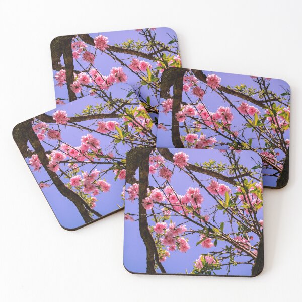 Item preview, Japanese designed and sold by Smeekeeper.