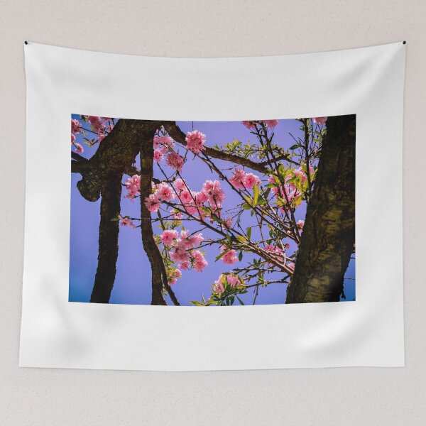 Item preview, Japanese designed and sold by Smeekeeper.