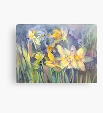 Daffodils Metal Print