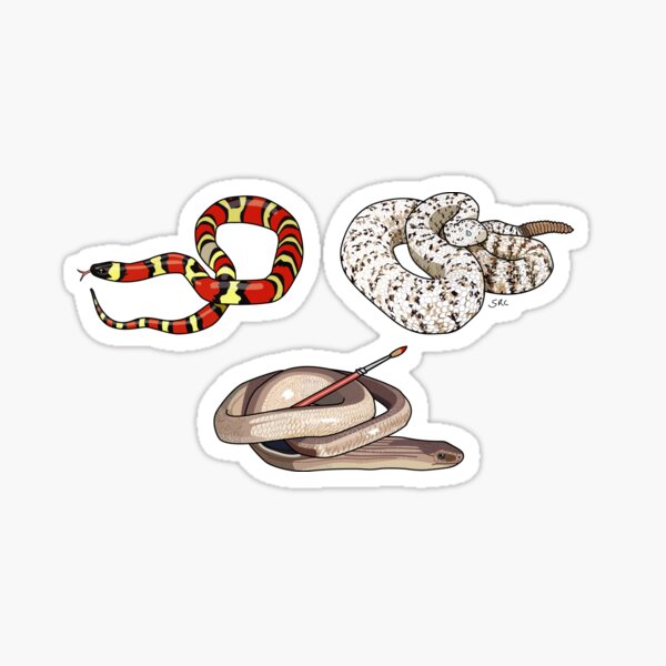 Reptiles Pegatina