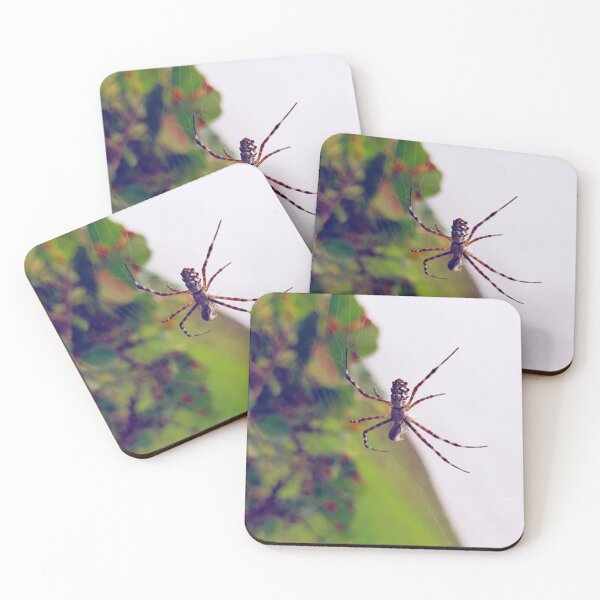 Item preview, spider animal designed and sold by BLACK_BOSS STORE.