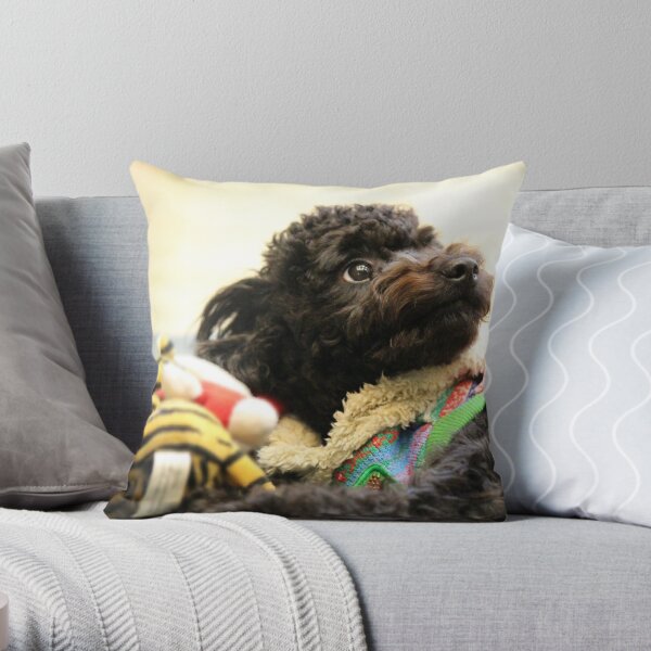 Toy Dog Pillows & Cushions for Sale