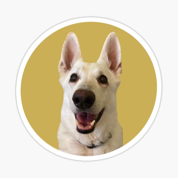 Jack the TikTok Dog (Yellow) Sticker