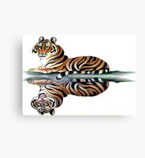 Reflected Duality Canvas Print
