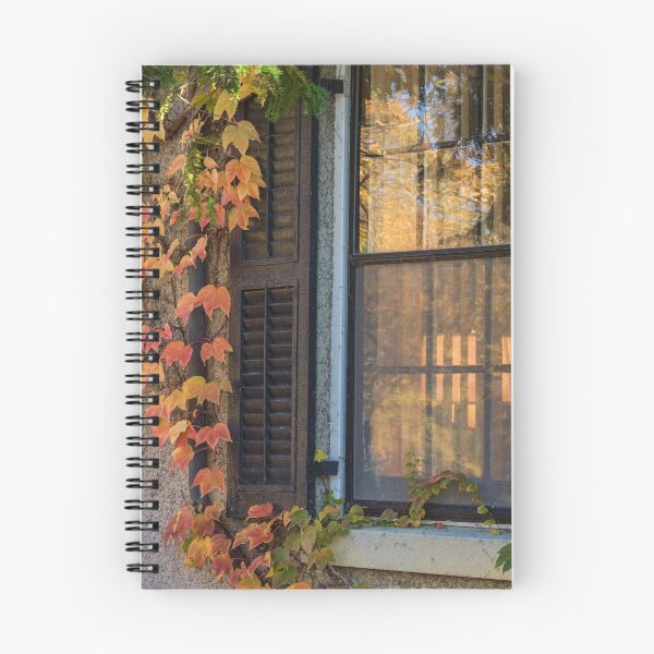 Item preview, Window Framed in Autumn Coloured Ivy designed and sold by Gerda Grice Photography.