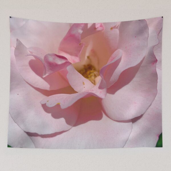 Item preview, Single big pink rose designed and sold by selfdevelopment.