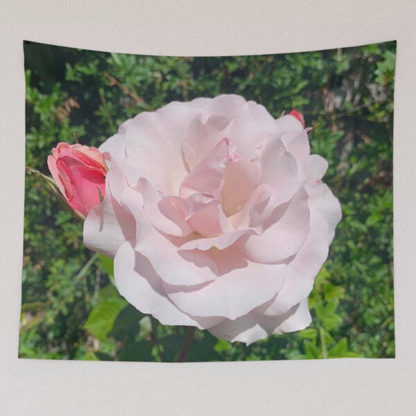 Item preview, White pink pastel rose with dark pink rose buds designed and sold by selfdevelopment.