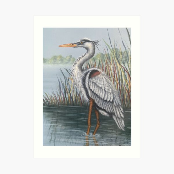 Blue Heron Art Print