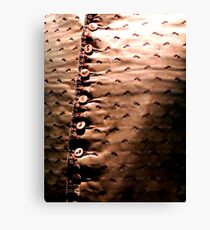 Waistcoat Canvas Print