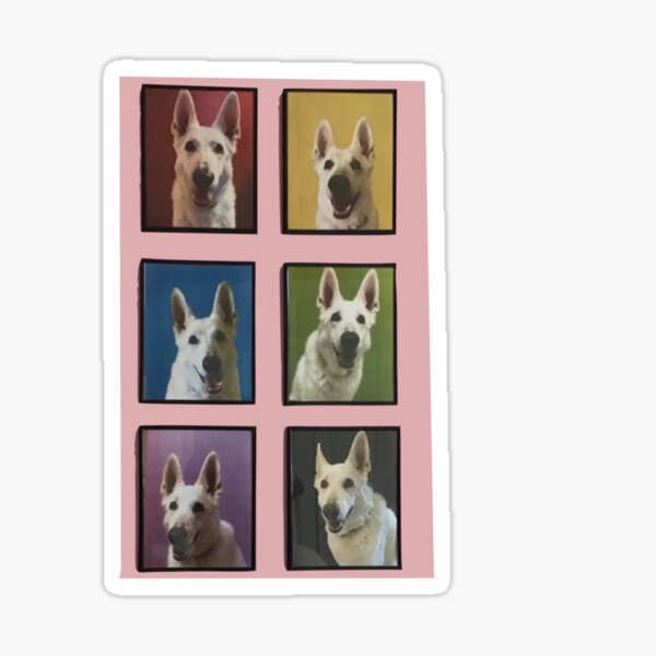 Jack the TikTok Dog (All Colors) Sticker