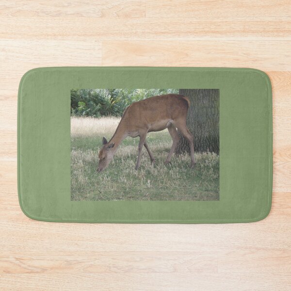 Item preview, Red Deer Grazing by A Tree Photograph designed and sold by naturegallery.