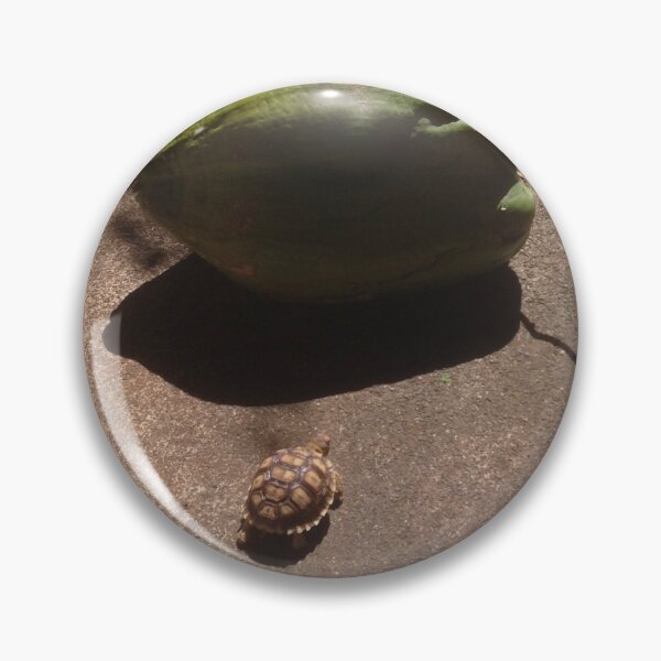 Item preview, The Tortoise and The Coconut designed and sold by lilzdrawz.