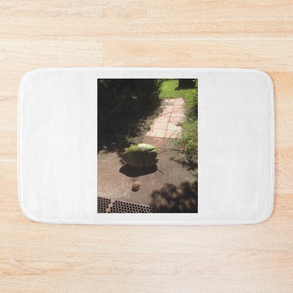 Item preview, The Tortoise and The Coconut designed and sold by lilzdrawz.