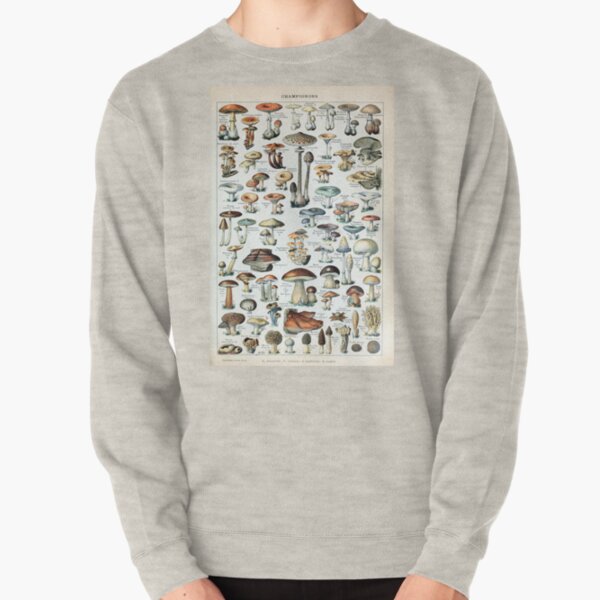 Tableau des champignons comestibles vintage Sweatshirt épais