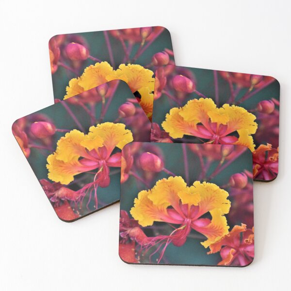 Item preview, The Desert blooms designed and sold by Roger Fowler.