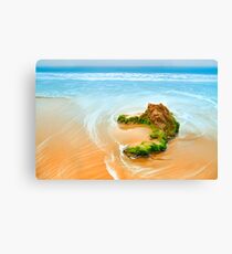 Beach Rock Canvas Print