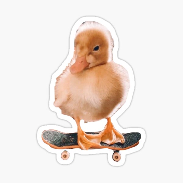 ducky Sticker
