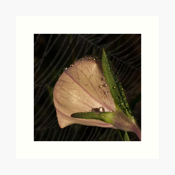 Item preview, Sparkling Dew Drops designed and sold by Victoria Jostes.