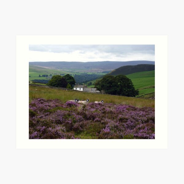Above Bolton Abbey Art Print