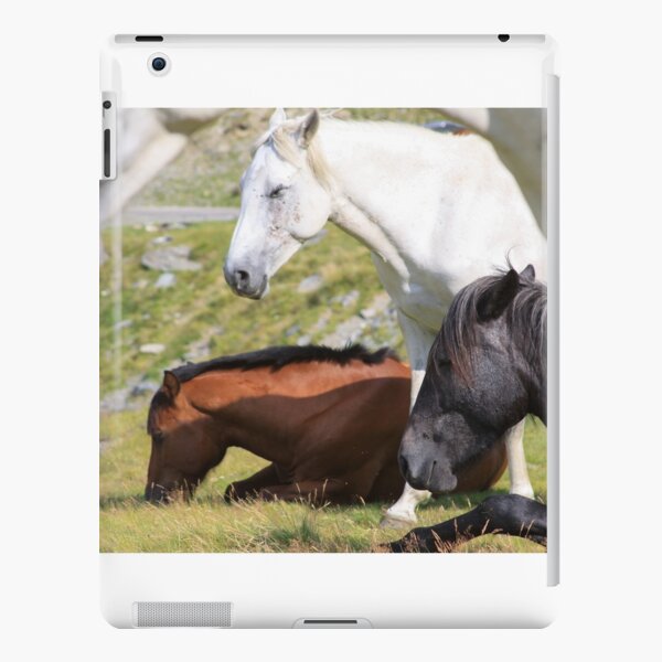 4 gentle horses sitting quiet in the mountains iPad Snap Case
