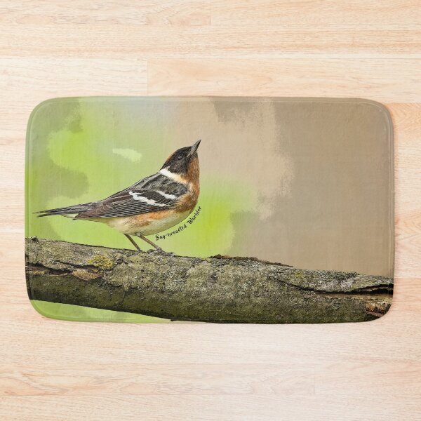 Item preview, Bay-breasted Warbler (Painterly effect) designed and sold by Patty Doublet Photography.