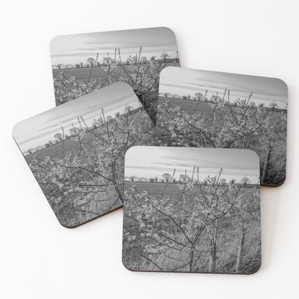 Item preview, Hedge row in the countryside at dusk designed and sold by yackers1.