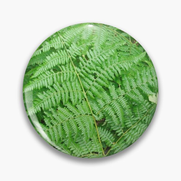 Artikelvorschau, Oregon Ferns entworfen und verkauft von Tamara McDonnell.