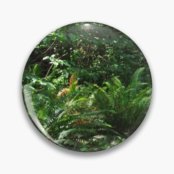 Artikelvorschau, Oregon's Native Ferns entworfen und verkauft von Tamara McDonnell.