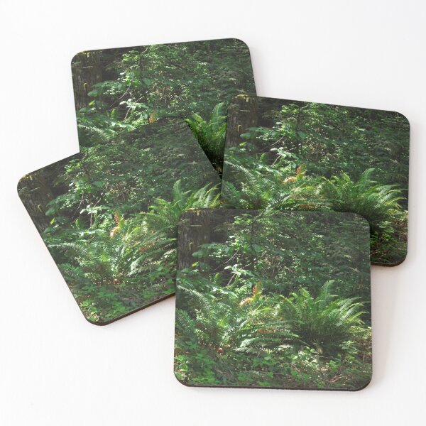 Artikelvorschau, Oregon's Native Ferns entworfen und verkauft von Tamara McDonnell.