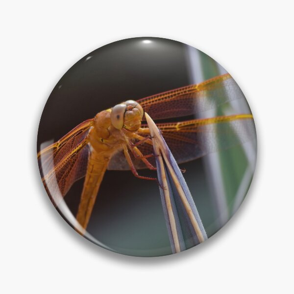 Item preview, Dragonfly on desert plant designed and sold by 1lookingglass.