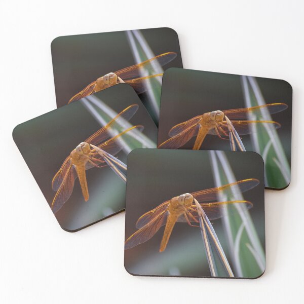 Item preview, Dragonfly on desert plant designed and sold by 1lookingglass.