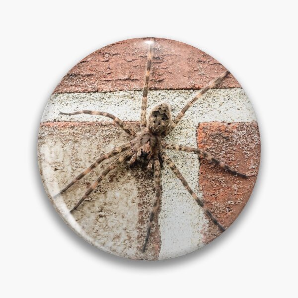 Item preview, Not So Itsy-Bitsy designed and sold by spyderboy8.
