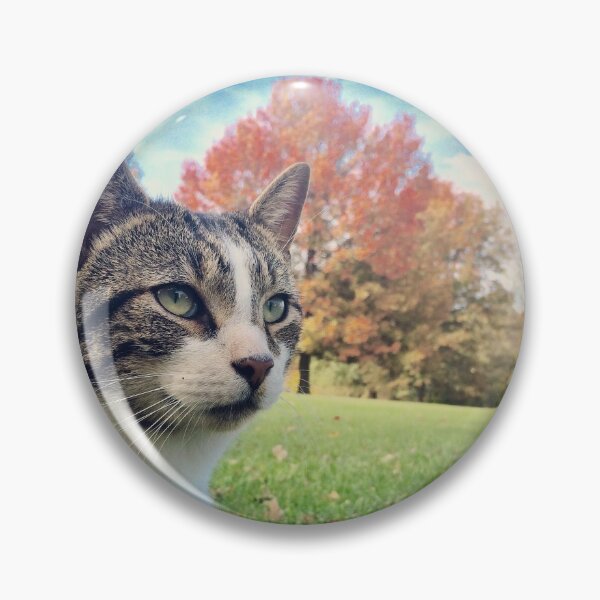 Item preview, Picture Purrrfect! designed and sold by spyderboy8.