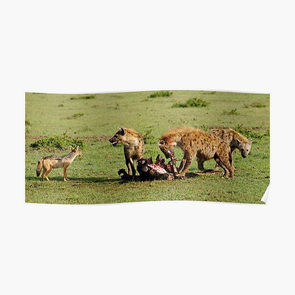 "food chain" Poster