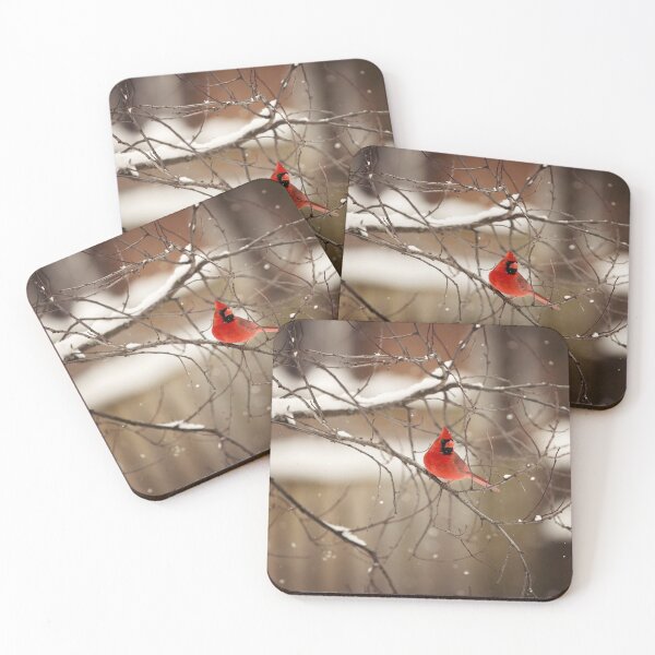 Male cardinal in winter Coasters (Set of 4)