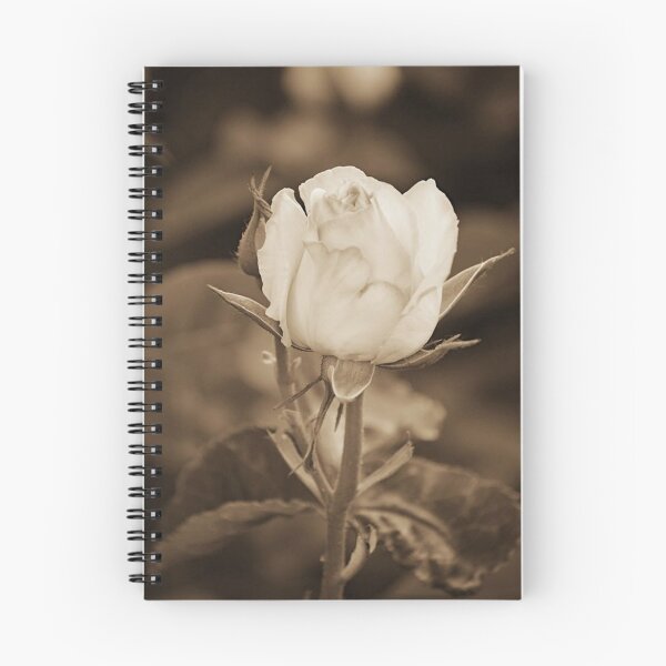 Item preview, Rose Bud in Sepia designed and sold by ReneeKennedy.