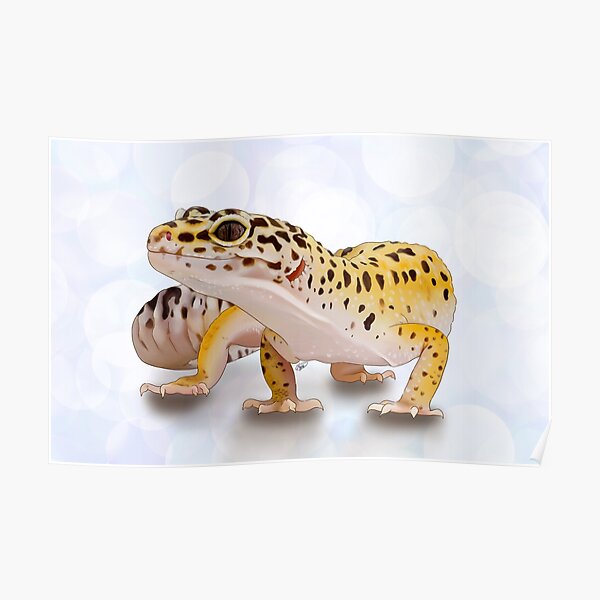 Leopard Gecko Poster