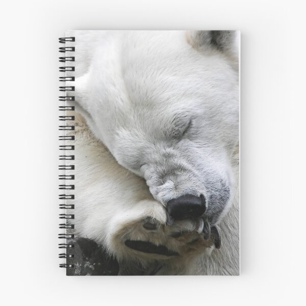 Item preview, Itch designed and sold by Stuart Robertson Reynolds.