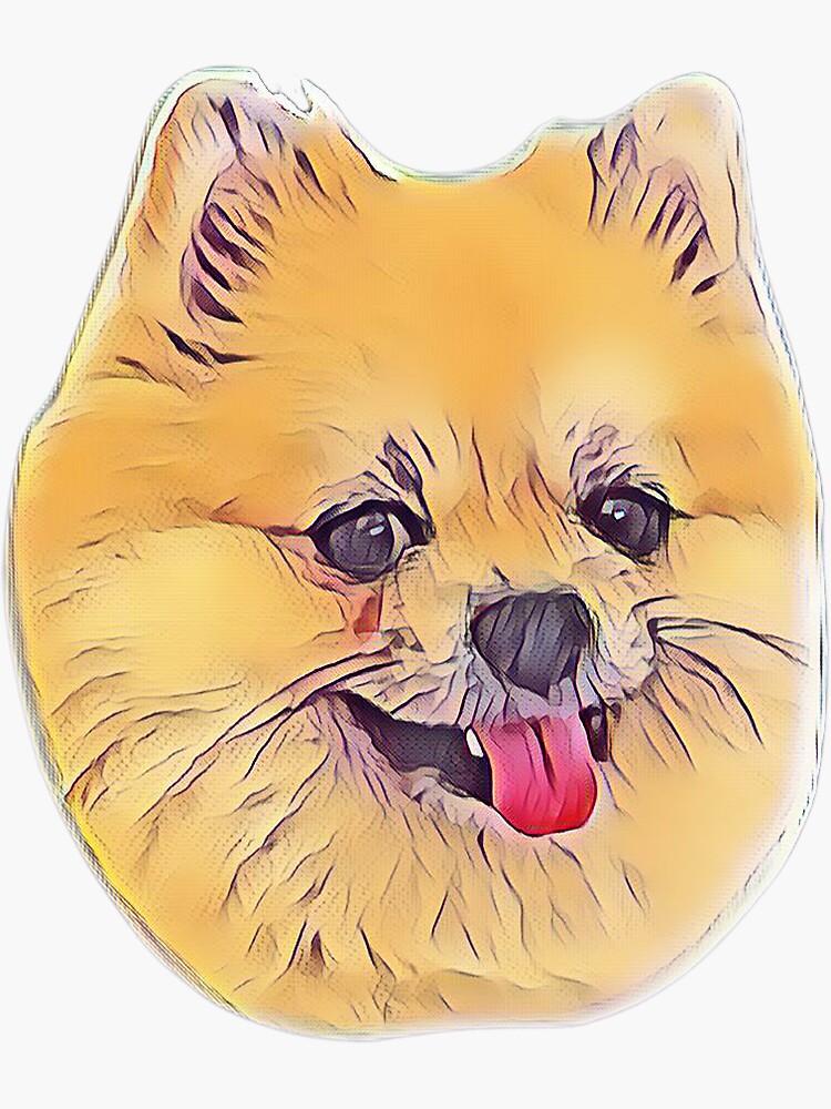 "Drawing Sketch Cartoon Pomeranian" Sticker by shelternjeans | Redbubble