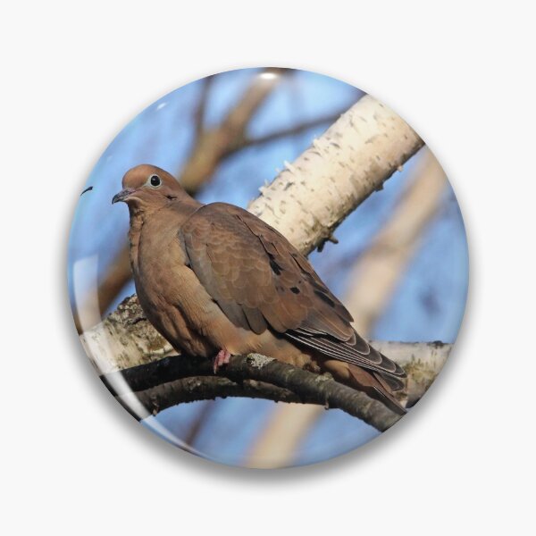 Item preview, Mourning Dove In Birch Tree designed and sold by Debbie Oppermann.